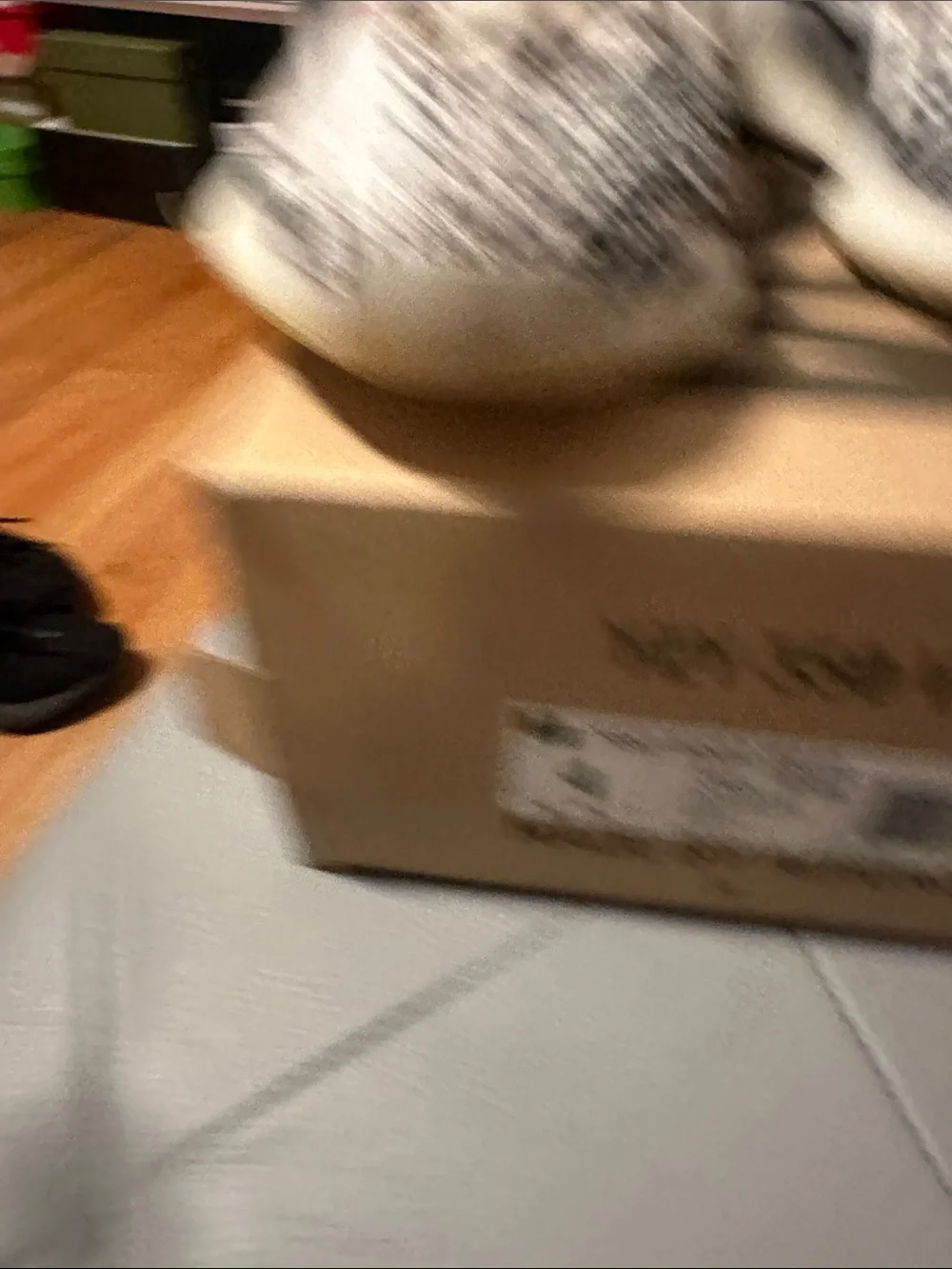 Yeezy kids sneakers
